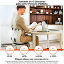 Almofada de Apoio Lombar Cadeira Correção de Coluna GG