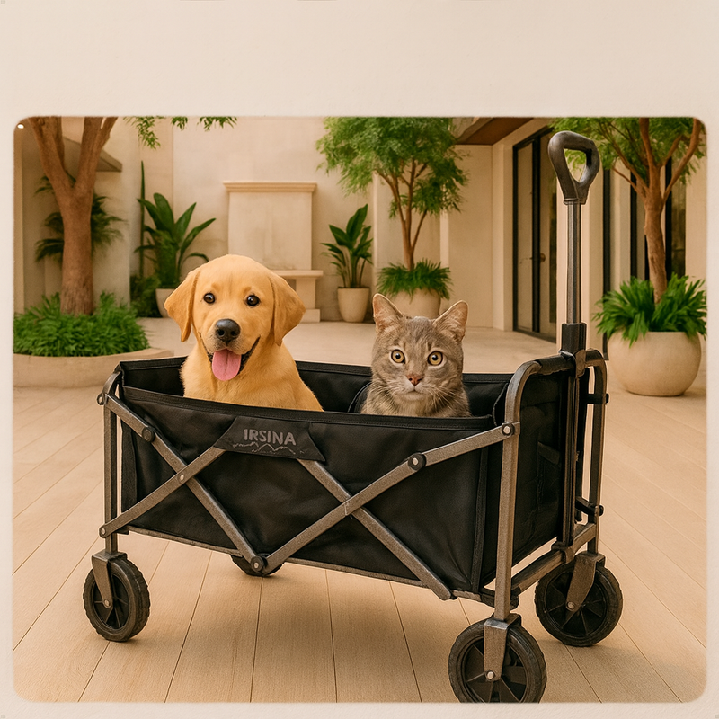 Carrinho de Carga Camping 100kg