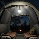 Lâmpada de Emergência LED